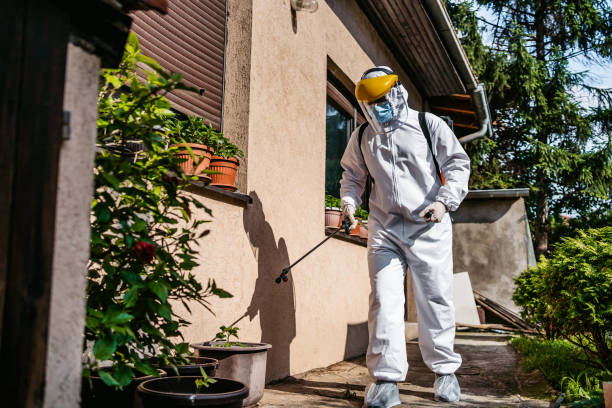 Best Pest Inspection Near Me  in Smithville, NJ