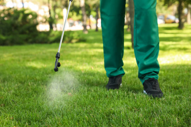 Best Wasp Removal Services  in Smithville, NJ