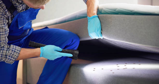 Best Rat Extermination Near Me  in Smithville, NJ
